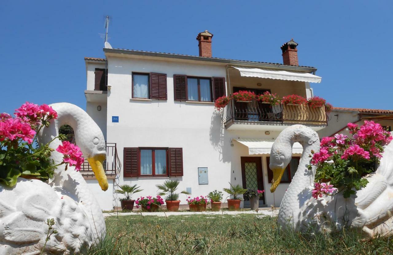 Mirela Apartma *